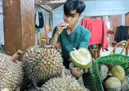 Durian Kawuk Raja Tandingi Rasa Musang King