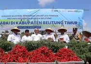 Kelompok Bina Tani Bentuk Kluster Petani Cabai di Belitung Timur