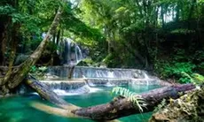 Jalan-jalan di Negeri Sakura? Nikmati Paket Internet RoaMAX Jepang dari Telkomsel