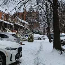 NY Winter Blizz