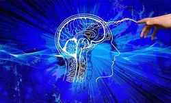 Jadi Seperti Ini Cara Kerja Luar Biasa Otak Ketika Memberi Kode Pada Perut  Lapar