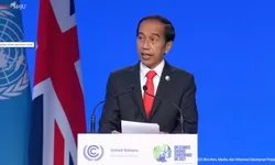 LHKPN Ungkap Harta Kekayaan Presiden Jokowi Meningkat, Segini Nominalnya