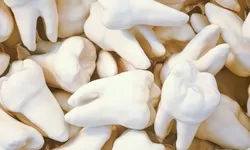 7 Fakta Menarik Tentang Gigi, Bagian dalam Tubuh yang Mirip dengan Sidik Jari