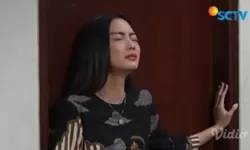 Sinopsis Cinta Setelah Cinta 25 Juli 2022: Niko Alami Kecelakaan, Hati Starla Hancur Lihat Kondisinya