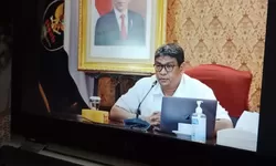 Pemda Wajib Umumkan Hasil Pendataan Non ASN, Jadwalnya Sudah Ditentukan BKN