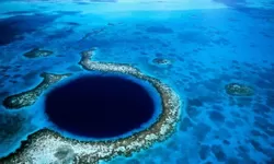 Ilmuwan Mengumpulkan Virus Jenis Baru dari Palung Mariana, Begini Penampakannya