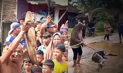Sindiran Warga di Lampung Selatan, 14 Tahun Menanti Aspal-Tebar Lele