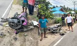Adu Banteng Mio vs Carry di Parigi Moutong, Pengendara Motor Meninggal Dunia