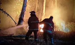 Pembersihan Lahan Berujung Petaka, 20 Hektare Lahan di Parigi Moutong Jadi Abu