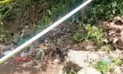 Nenek Alvaro Ungkap Alibi Keluarga Pelaku, Sebut Ada Peran Pihak Lain dalam Hilangnya Sang Cucu