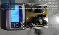Dugaan keterlibatan Oknum kepala desa dalam Aktivitas Sekaligus Pegepul Emas Ilegal Jadi Sorotan Publik