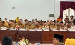 Dialog Bupati Welly Dengan Mendagri, Terungkap Ada Program 300 Ribu Jembatan Gantung