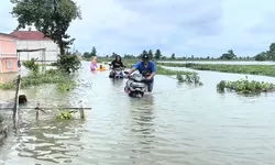 Pemkab Lamongan Tetapkan Status Darurat Bencana, 10 Ribu Jiwa Terdampak