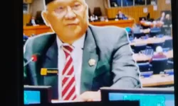 Indonesia di Persimpangan Davos: Menjadi Pemain Utama atau Sekadar Pion Catur Perdamaian