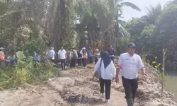 Bupati Batu Bara Gerakkan Dinas Pertanian dan Perkebunan Kabupaten Batu Bara dan Petani Hempang Aliran Sungai Ramunia, Atasi Kekeringan Persawahan Mas