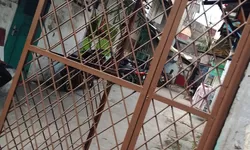 Perjudian tembak ikan marak dan bebas beraktivitas di kawasan Kampung Tanjung, Kecamatan Binjai Kota