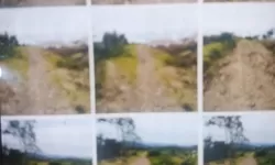 LPJ Dana Desa Sumber Sari 4 Tahun Diduga Bermasalah, Segera Dilaporkan ke APH