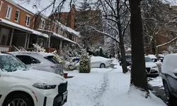 NY Winter Blizz