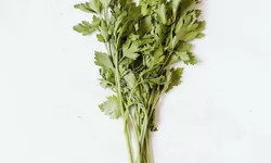 7 Manfaat Seledri bagi Kesehatan, Salah Satunya Mencegah Kanker