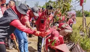 Memasuki Usia Emas 50 Tahun, PDIP Cianjur Tanam Pohon Hingga Bagi-bagi Sembako