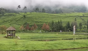 Destinasi Wisata Telaga Saat, Vibesnya Mirip Film My Heart