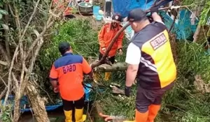 Cianjur Ada Angin Kencang, Pohon Tumbang Timpa Tenda Pengungsian dan Kendaraan 