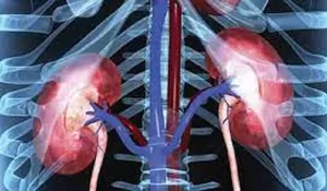 Anak Usia 1 Tahun Meninggal Dunia, Diduga Gagal Ginjal