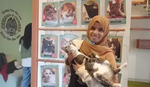 Menyelami Kafe Bilik Kucing (1) : Berangkat Dari Hobi, Selektif Jika Ada yang Adopsi Kucing