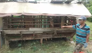 Camat Tapos Himbau Pemilik Kambing untuk Tingkatkan Keamanan 