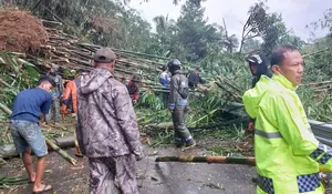 Hindari Jalan Alternatif Bogor-Sukabumi, Ada Longsor di Cigombong