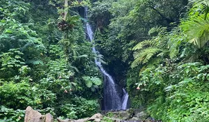 Air Terjun Cibogo Menjadi Primadona Kebun Raya Cibodas