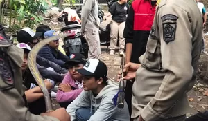 Hendak Tawuran di Parung Panjang Bogor, Siswa SMK Tangsel Diciduk Satgas Pelajar, Bawa Celurit dan Samurai!
