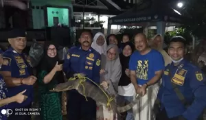 Ketakutan Ada Biawak di Atap Rumah, Ini yang Dilakukan Warga Rawapanjang Bojonggede