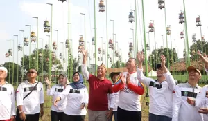 Ratusan Peserta Ikuti Kontes Burung Perkutut, Tri Adhianto Harapkan Lestarikan Budaya Asli Indonesia