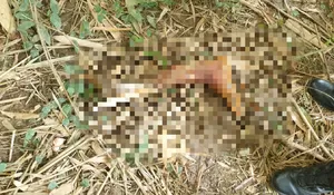 Giliran Kaki Kanan Korban Mutilasi Koper Merah di Tenjo Ditemukan, Polisi Masih Cari Potongan Kepala Korban