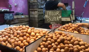 Sepi Pembeli di Awal Ramadhan 2023, Pedagang Telur di Bogor Lesu