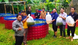 Katar Bojongsari Depok Kembangkan UEP, Segini Bibit yang Ditebar 