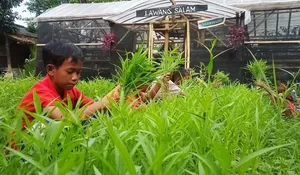Bogor Punya Kebun Akar Pohon, Wadah Tanamkan Edukasi Anak Agar Gemar Bertani