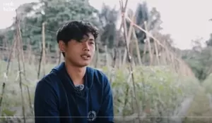 Cerita Petani Muda Gen Z Hasilkan Rp400 Juta dari Panen Cabai Kualitas Supermarket