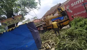 DLHK Pangkas Pohon Warga Harjamukti