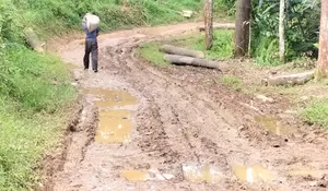 Ya Ampun! Jalanan Mirip di Lampung Ternyata Ada di Cigudeg Bogor, Puluhan Tahun tak Tersentuh Aspal atau Beton
