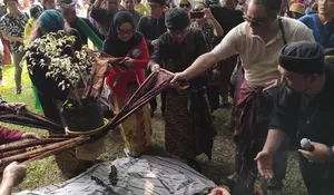 Bakul Budaya FIB UI dan Makara Art Center Gelar Sedekah Hutan, Ini Kegiatannya 