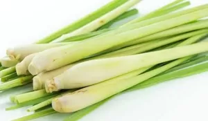 Daun Sereh: Rempah Aroma Khas yang Membuat Masakan Lezat di Kota Depok