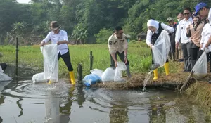 Dukung Ketahanan Pangan dan Gizi, Bupati Purwakarta Anne Ratna Mustika Tebar Ribuan Benih Ikan Nila