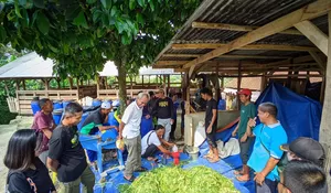 Tingkatkan Ekonomi Warga, PT Antam Bogor Berikan Pelatihan Tehnik Berternak Domba