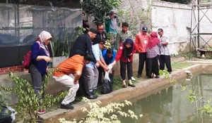  Setelah Teori, Program P2L Krukut Dipraktekan 