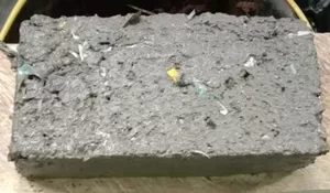 Warga Pamijahan Bogor Daur Ulang Sampah Plastik jadi Paving Block