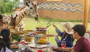 “Dine With Giraffe” Eksklusif dan Satu-Satunya Hotel di Jawa Barat yang Bisa Makan bersama Jerapah