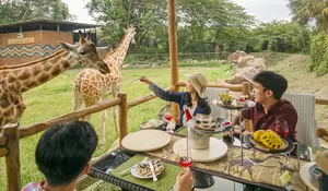 Wisata di Puncak Bogor, Bisa Makan Bareng Jerapah di Royal Safari Garden, Lho! Cek Harga dan Caranya