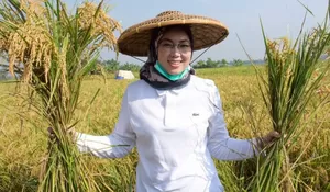 Perkuat Ketahanan Pangan, Produksi Beras Purwakarta Semester Pertama 2023 Capai Ratusan Ribu Ton